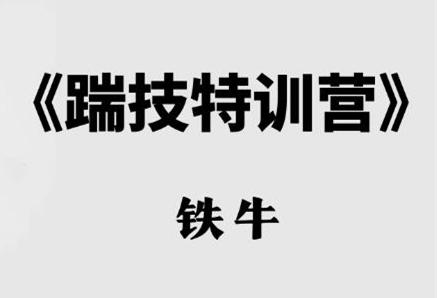 铁牛《踹技特训营》